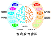 南京有全脑潜能开发培训吗，哪家比较好