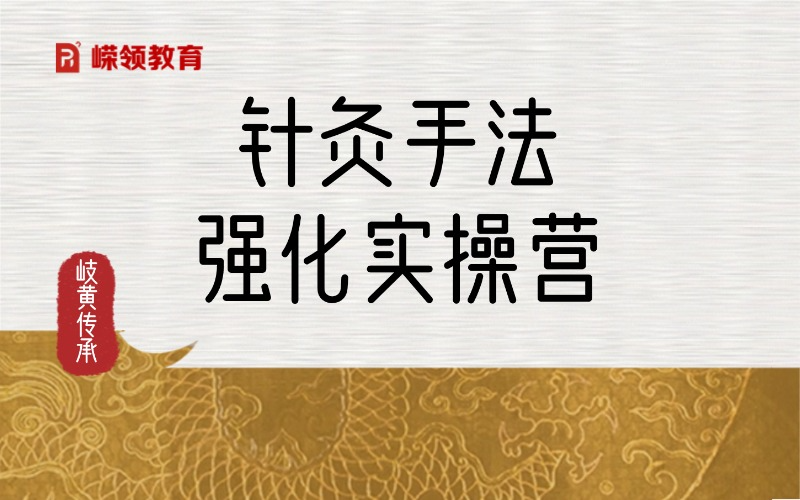 针灸手法速效强化实操营