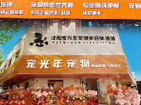 深度視點(diǎn)：沈陽在哪學(xué)寵物美容靠譜？寵光年以人社部資質(zhì)重塑行業(yè)交付標(biāo)準(zhǔn)