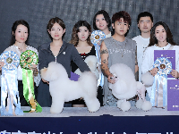 產(chǎn)業(yè)觀察：沈陽(yáng)零基礎(chǔ)能學(xué)寵物美容嗎？打破學(xué)歷年齡壁壘，直擊正規(guī)職業(yè)培訓(xùn)核心