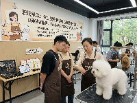 職場縱深：專業(yè)寵物美容師進修課程有哪些？突破薪資瓶頸，前沿特色項目重塑門店核心競爭力