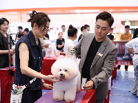 宠光年宠物美容师职业培训学校