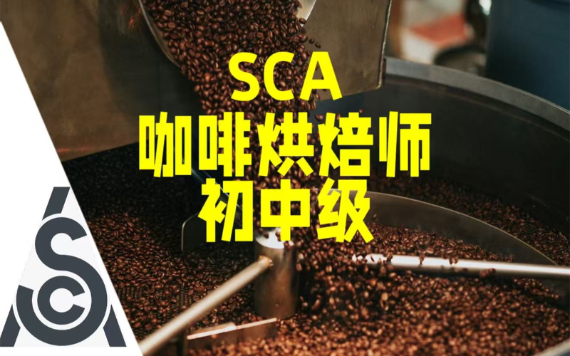 北京咖啡烘焙初中级培训班