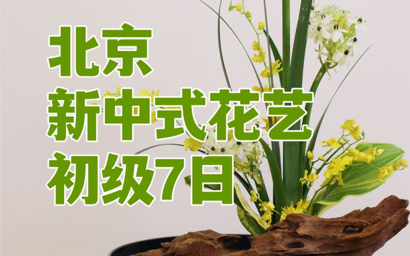北京新中式花艺初级7日班