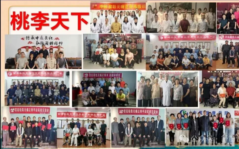 青岛燊林中医教育