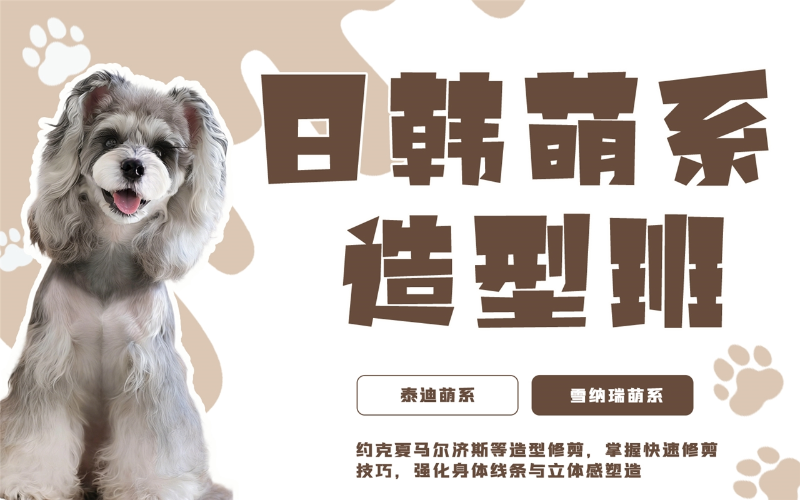 青岛欧朗宠物美容培训学校