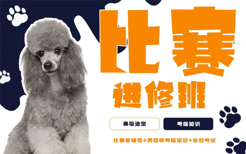 青岛欧朗宠物美容培训学校