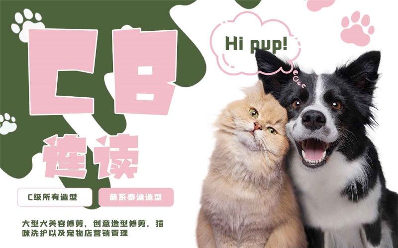 青岛欧朗宠物美容培训学校