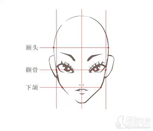 鵝蛋形臉面部結(jié)構(gòu)比例