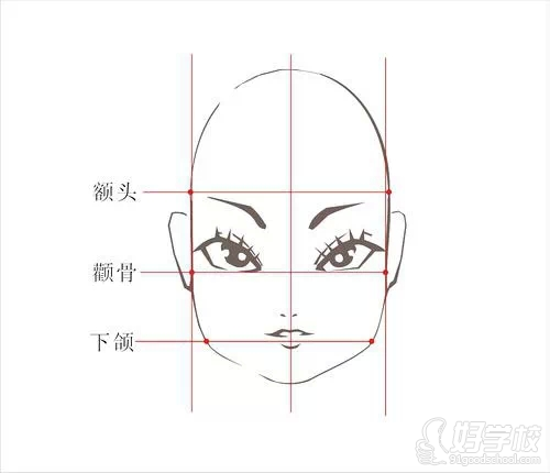 方臉面部結(jié)構(gòu)比例