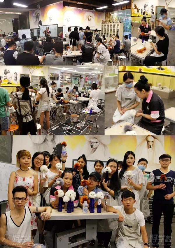 广州尊宠国际宠物美容护理培训中心 学员风采