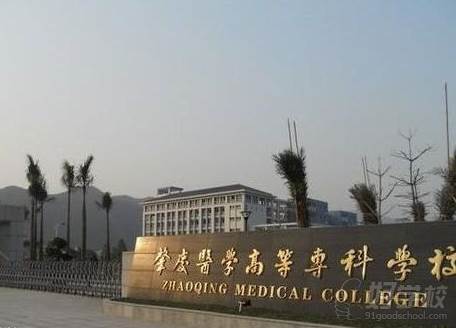 肇庆医学高等专科学校成人高考高起专广州招生简章