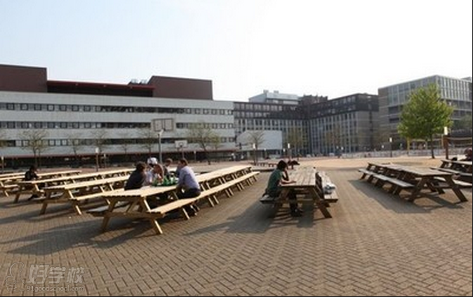阿姆斯特丹自由大学的学校环境