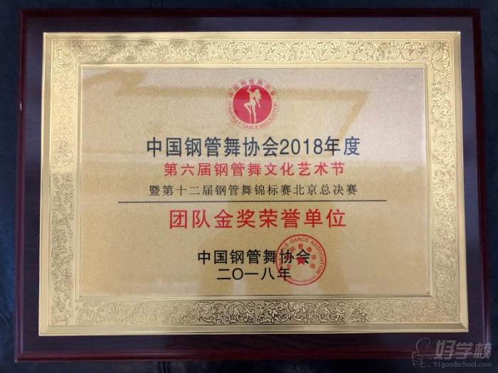 2018第六屆中國鋼管舞文化藝術節(jié)“團隊金獎榮譽單位“