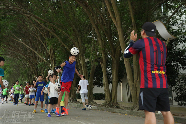 足球夏令营小学员训练现场