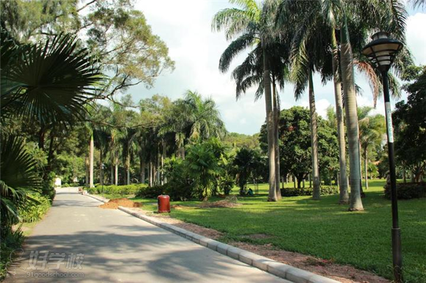 東湖公園綠樹成蔭的小道