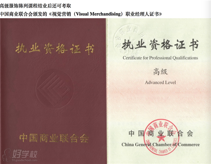 中国商业联合会颁发的《视觉营销（visual merchandising）》职业经理人正式