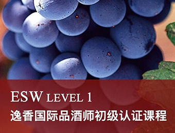 广州品酒师初级认证课程