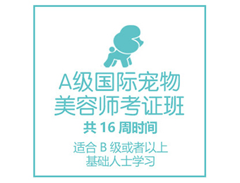 广州茉莉园宠物美容培训中心