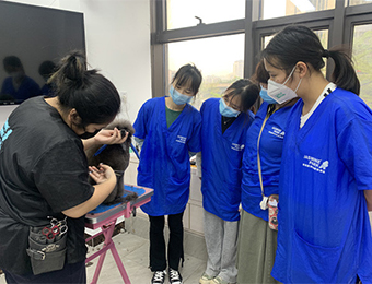 广州茉莉园宠物美容培训中心