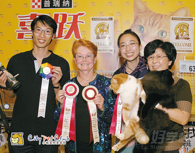 广州思迪宠物美容研修—2006年CFA北京国际猫展