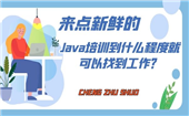 來點(diǎn)新鮮的，Java培訓(xùn)到什么程度就可以找到工作？