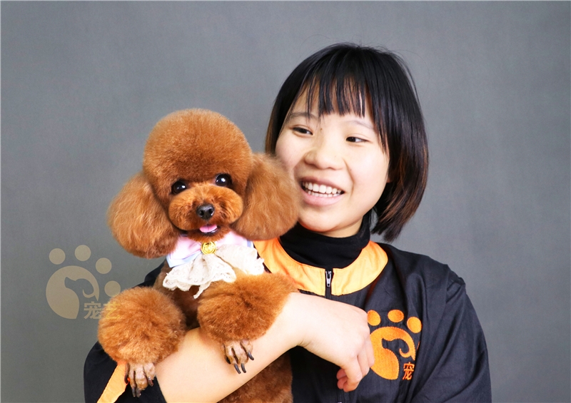 北京宠艺宠物美容师培训中心