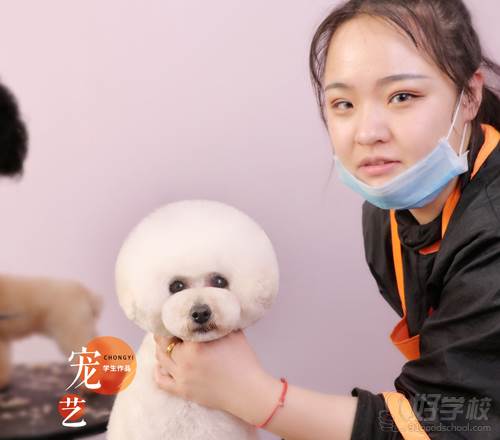 北京宠艺宠物美容师培训中心 学员作品