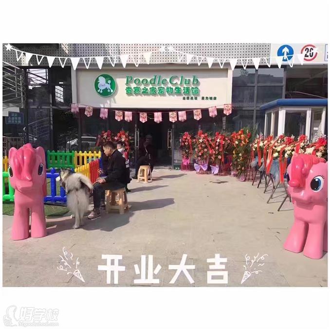 广州贵宾之家宠物美容培训学校校区环境