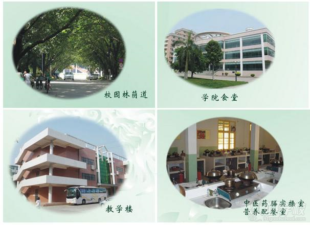 廣東南大職業培訓學校優美的校園環境