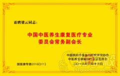 中国中医养生康复医疗专业委员会常务副会长