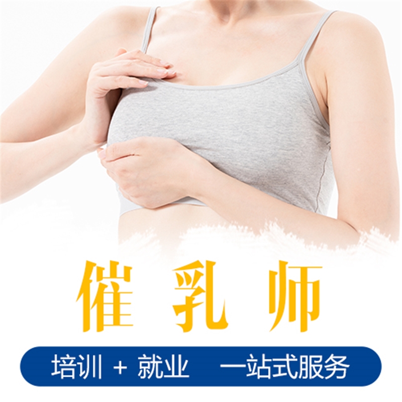 佛山高級(jí)催乳師培訓(xùn)班