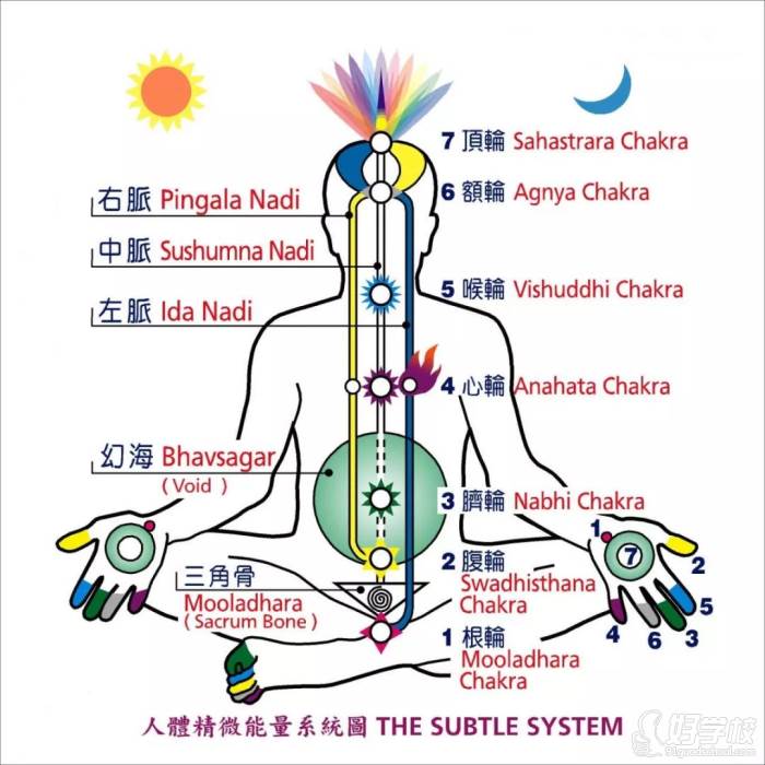 人体能量系统图