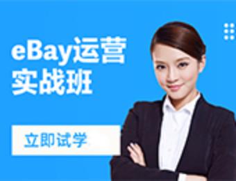 eBay运营实战班