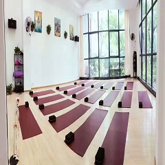 东莞瑜伽教练培训班