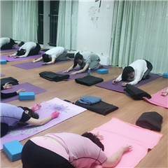 佛山高级瑜伽导师班培训课程