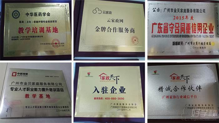 金贝荣誉 金贝荣誉