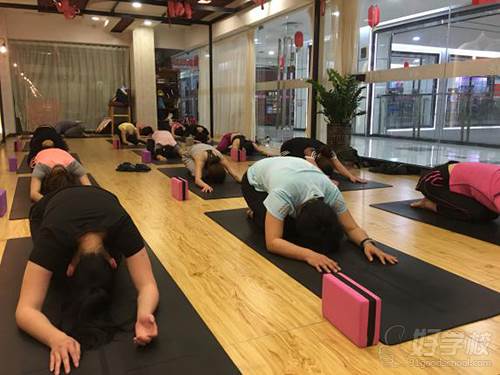 深圳领航舞蹈瑜伽培训学院  瑜伽课程练习