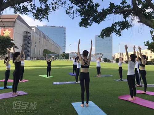 深圳领航舞蹈瑜伽培训学院  瑜伽练习