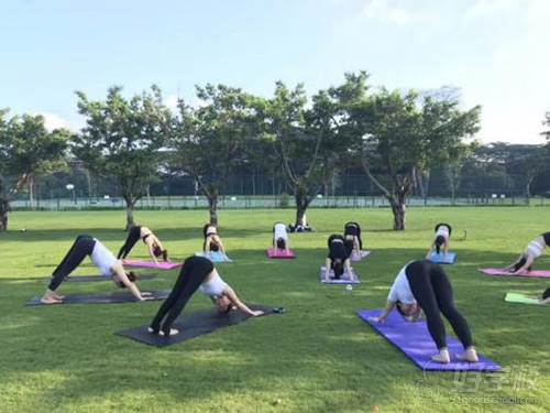 深圳领航舞蹈瑜伽培训学院  瑜伽课程练习场景