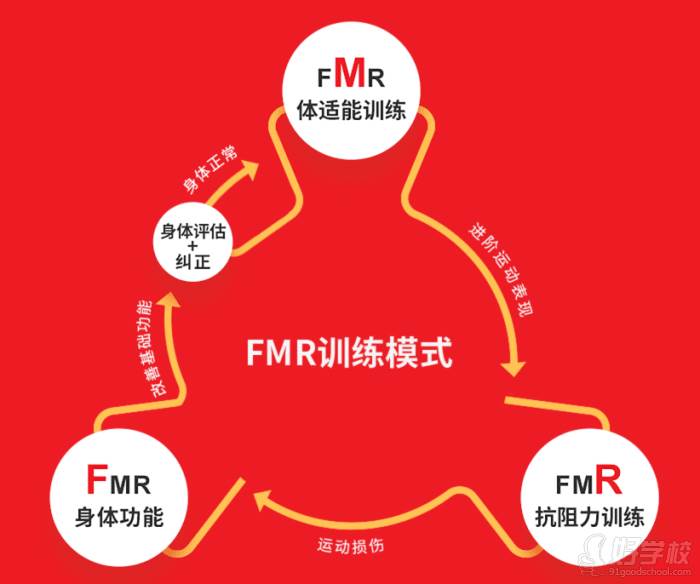 FMR训练模式