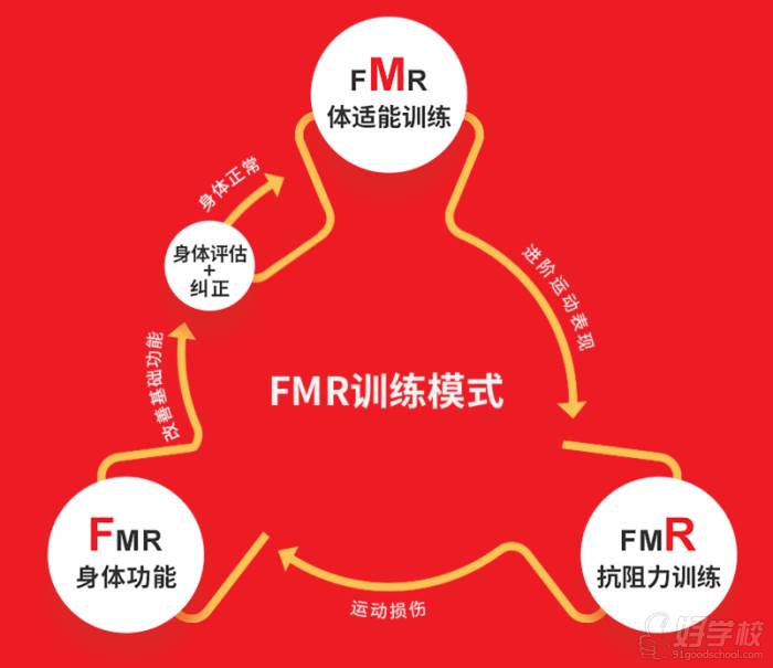 FMR训练模式