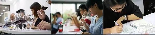 广州沐辰学院葡萄酒鉴赏认证课程上课现场