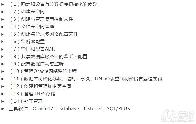 上海Oracle 12c数据库 OCM大师认证课程内容
