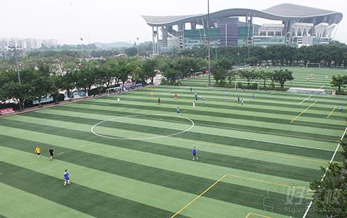 广州新安明珠足球俱乐部  运动教学场