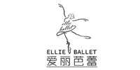 广州爱丽芭蕾舞蹈艺术培训中心