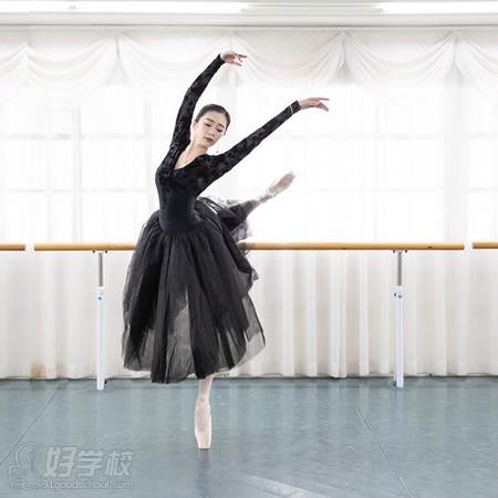广州爱丽芭蕾舞蹈艺术培训中心  导师李辰烨 舞蹈风采