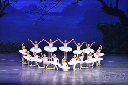广州爱丽芭蕾舞蹈艺术培训中心 天鹅湖表演