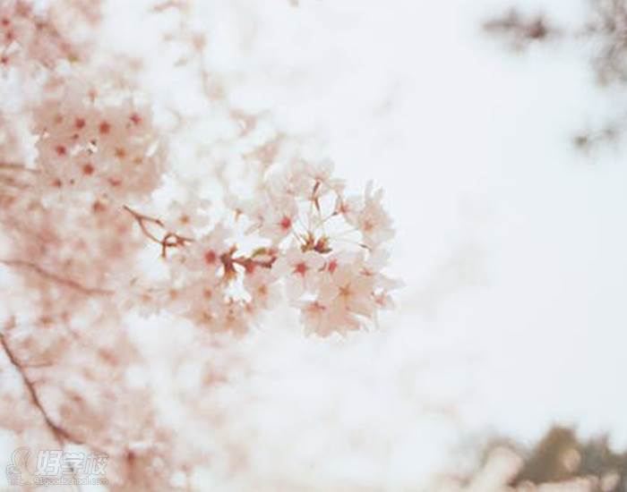 日本風(fēng)景