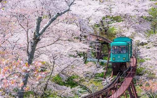 韓國(guó)留學(xué)風(fēng)景